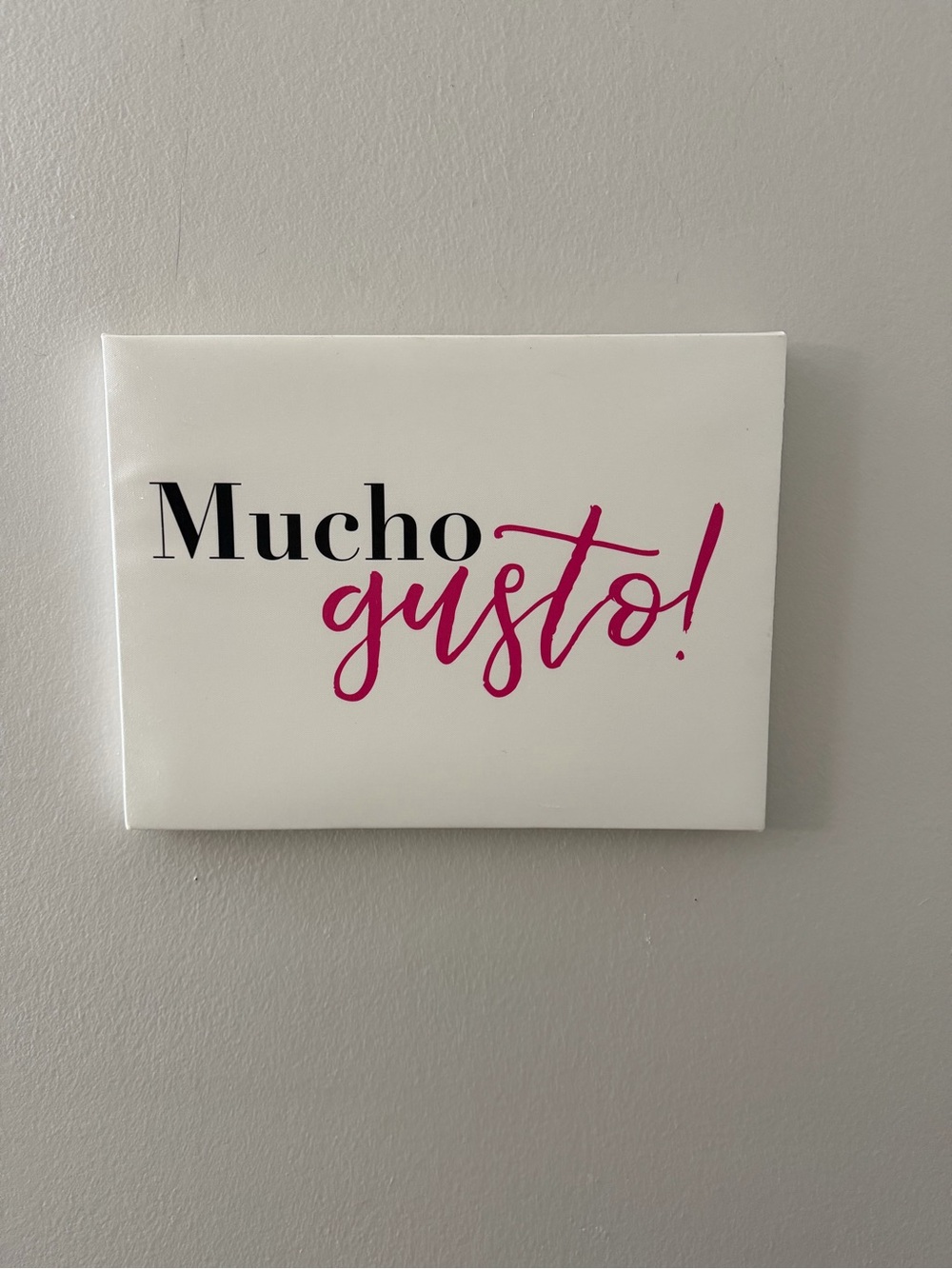 Mucho Gusto! Pink Script Wall Art Canvas by